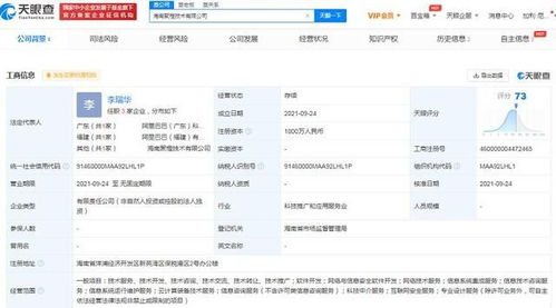 阿里海南布局新领域 成立子公司拓展互联网安全与系统运维服务