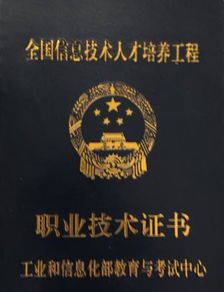 解决方案工程师与信息系统运行维护服务的角色解析