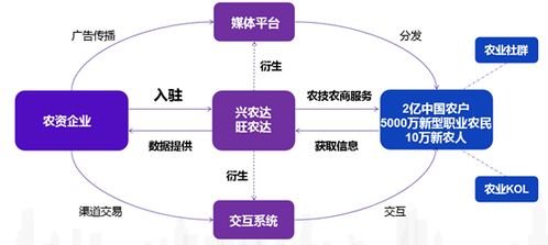 兴农达运营逻辑与信息系统运行维护服务的深度融合